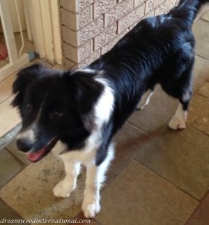 20130901-Ist Fathers Day